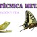 20 de Enero – Curso Técnica Metamórfica